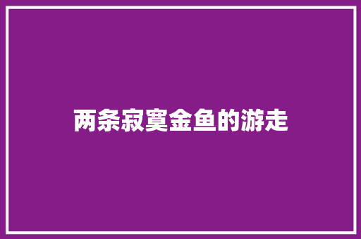 两条寂寞金鱼的游走