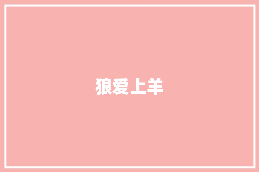 狼爱上羊 工作总结