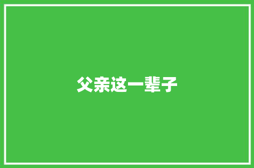 父亲这一辈子