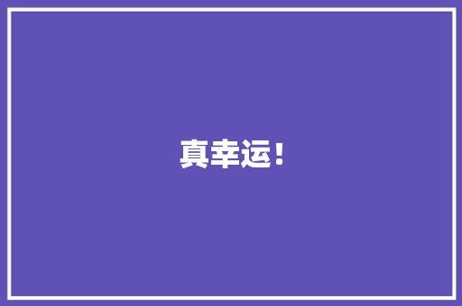 真幸运！