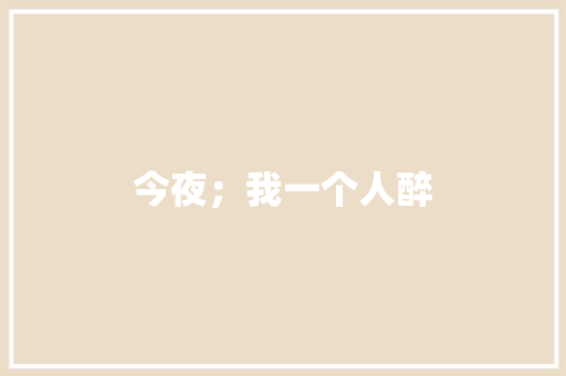 今夜；我一个人醉 工作总结