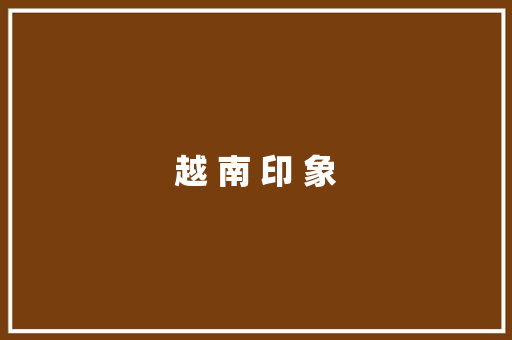 越 南 印 象 校园演讲