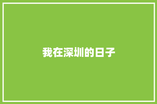 我在深圳的日子 求职信