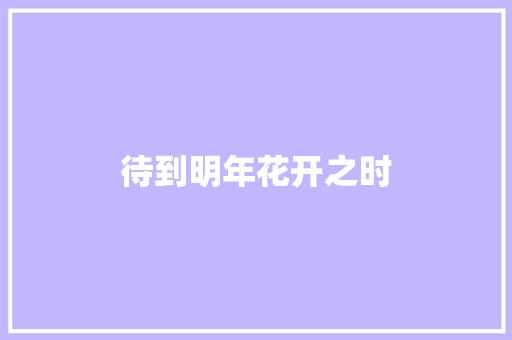 待到明年花开之时