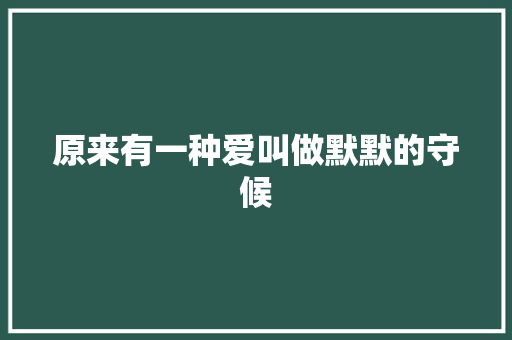 原来有一种爱叫做默默的守候 工作总结