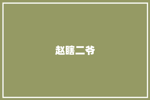 赵瞎二爷