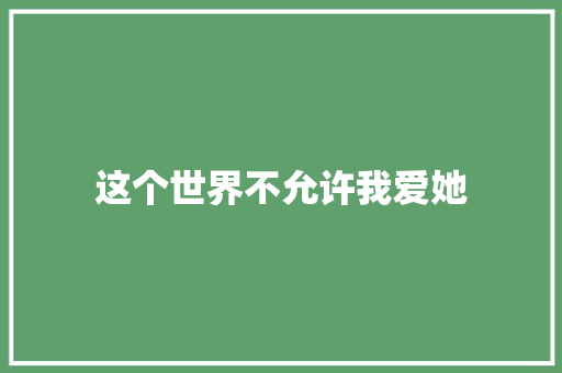 这个世界不允许我爱她 工作总结