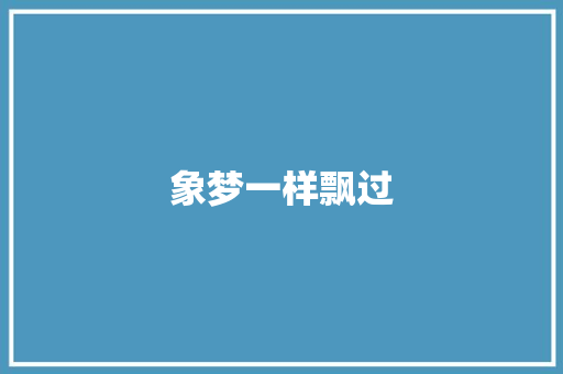 象梦一样飘过