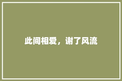 此间相爱，谢了风流 简历模板