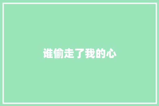 谁偷走了我的心 工作总结