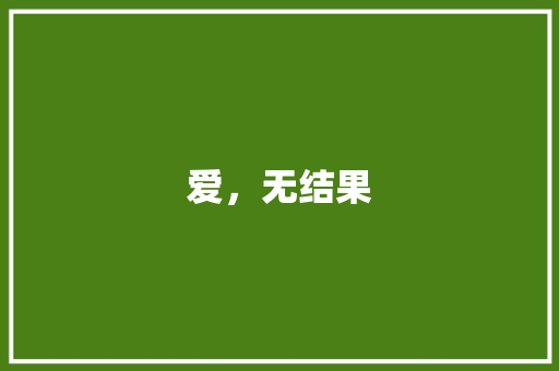 爱，无结果