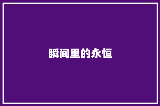 瞬间里的永恒