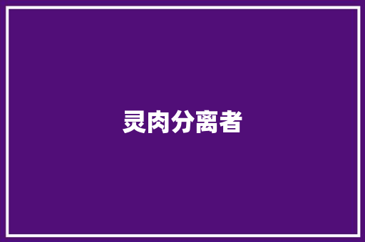 灵肉分离者 商务演讲