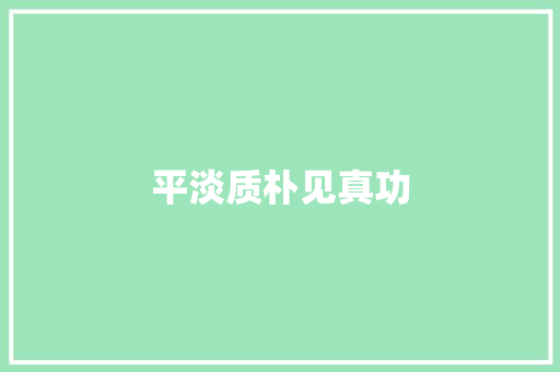 平淡质朴见真功 工作总结