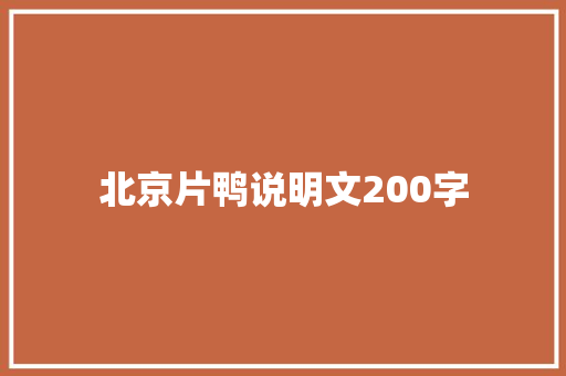 北京片鸭说明文200字 简历模板