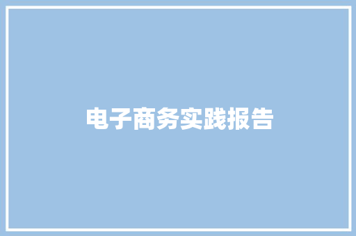 电子商务实践报告 校园演讲