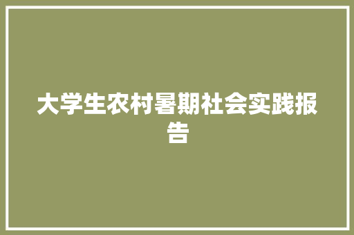 大学生农村暑期社会实践报告 商务演讲