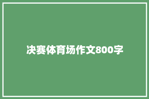 决赛体育场作文800字