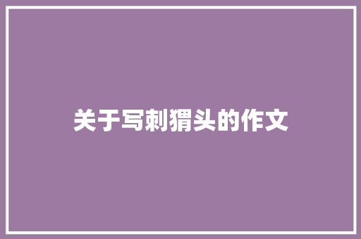 关于写刺猬头的作文 工作报告