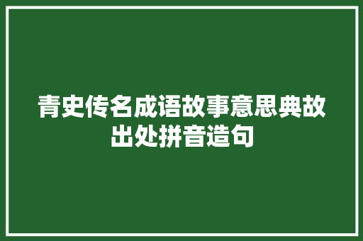 青史传名成语故事意思典故出处拼音造句 简历模板