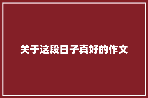 关于这段日子真好的作文 简历模板