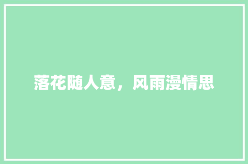 落花随人意，风雨漫情思 工作报告