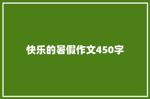 快乐的暑假作文450字 工作报告