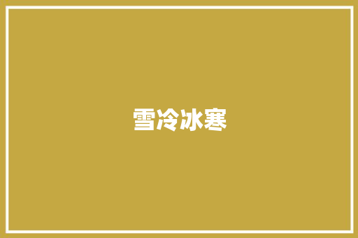 雪冷冰寒 工作报告
