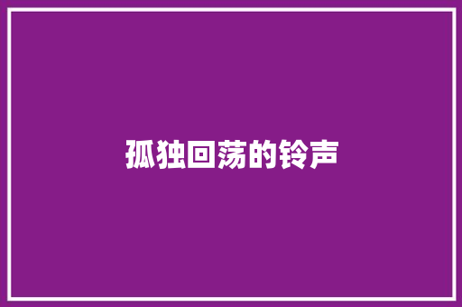 孤独回荡的铃声 工作报告