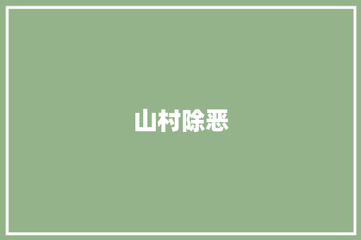 山村除恶
