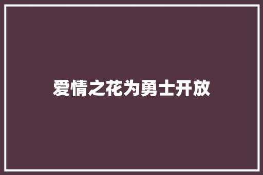 爱情之花为勇士开放