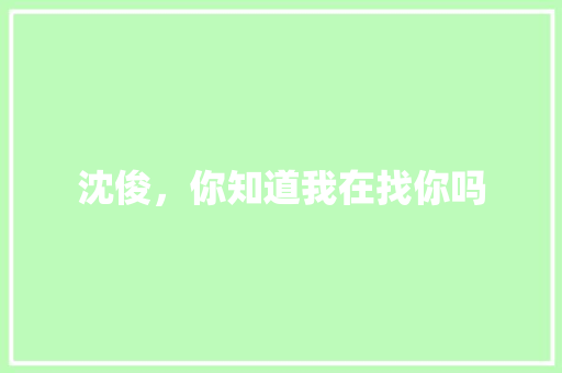 沈俊，你知道我在找你吗