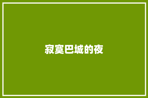 寂寞巴城的夜