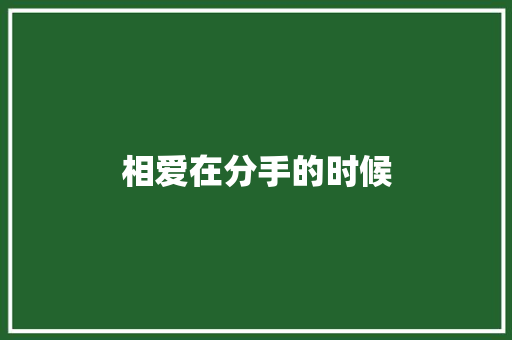 相爱在分手的时候