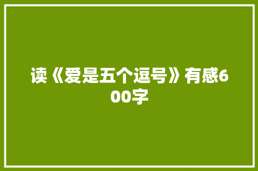 读《爱是五个逗号》有感600字