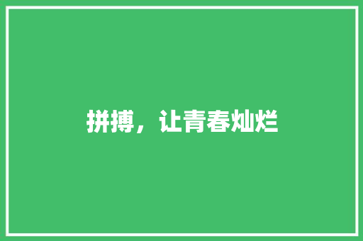拼搏，让青春灿烂 职场范文