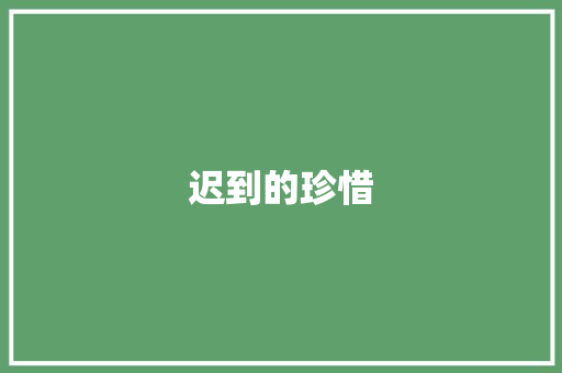 迟到的珍惜