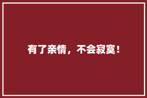 有了亲情，不会寂寞！ 简历模板