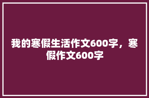 我的寒假生活作文600字，寒假作文600字 工作总结