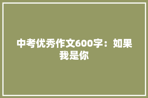 中考优秀作文600字：如果我是你 工作报告