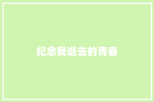 纪念我逝去的青春