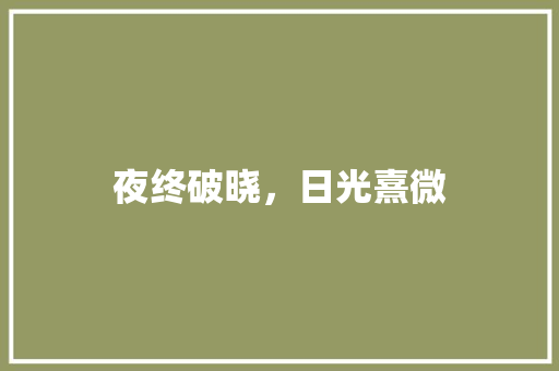 夜终破晓，日光熹微 工作报告