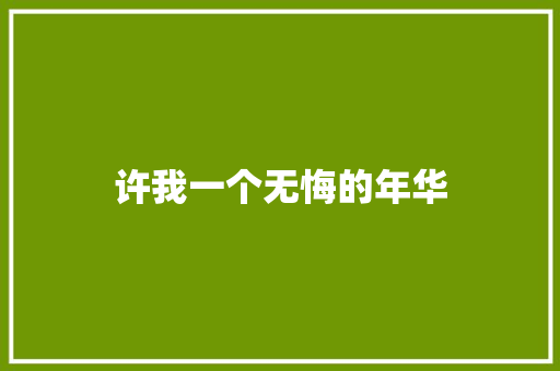 许我一个无悔的年华 商务演讲