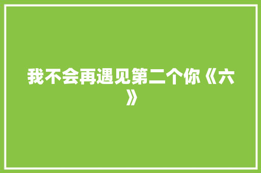 我不会再遇见第二个你《六》 工作总结