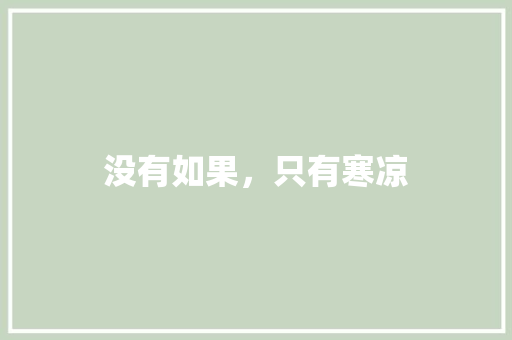 没有如果，只有寒凉 简历模板