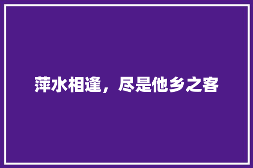 萍水相逢，尽是他乡之客 励志演讲