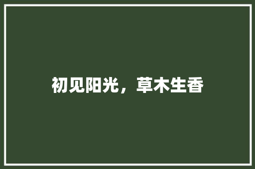 初见阳光，草木生香
