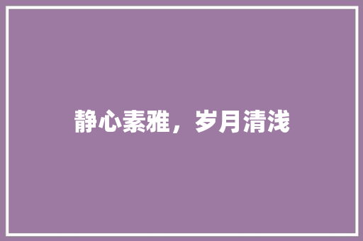 静心素雅，岁月清浅