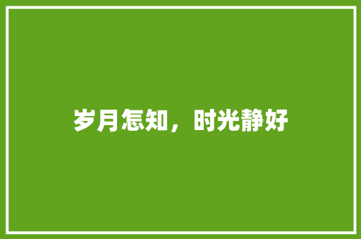 岁月怎知，时光静好