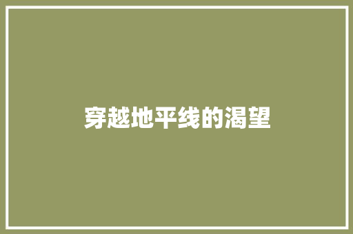 穿越地平线的渴望 简历模板